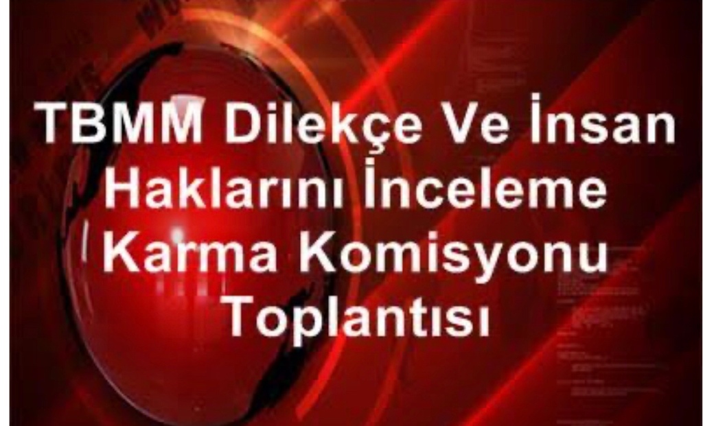 Türkiye Futbol Federasyonu, TBMM’de Savunma Verdi